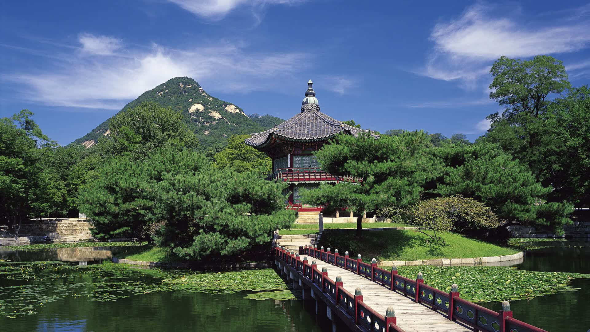 世界登山青年导师生态课堂示范点开放日活动安排