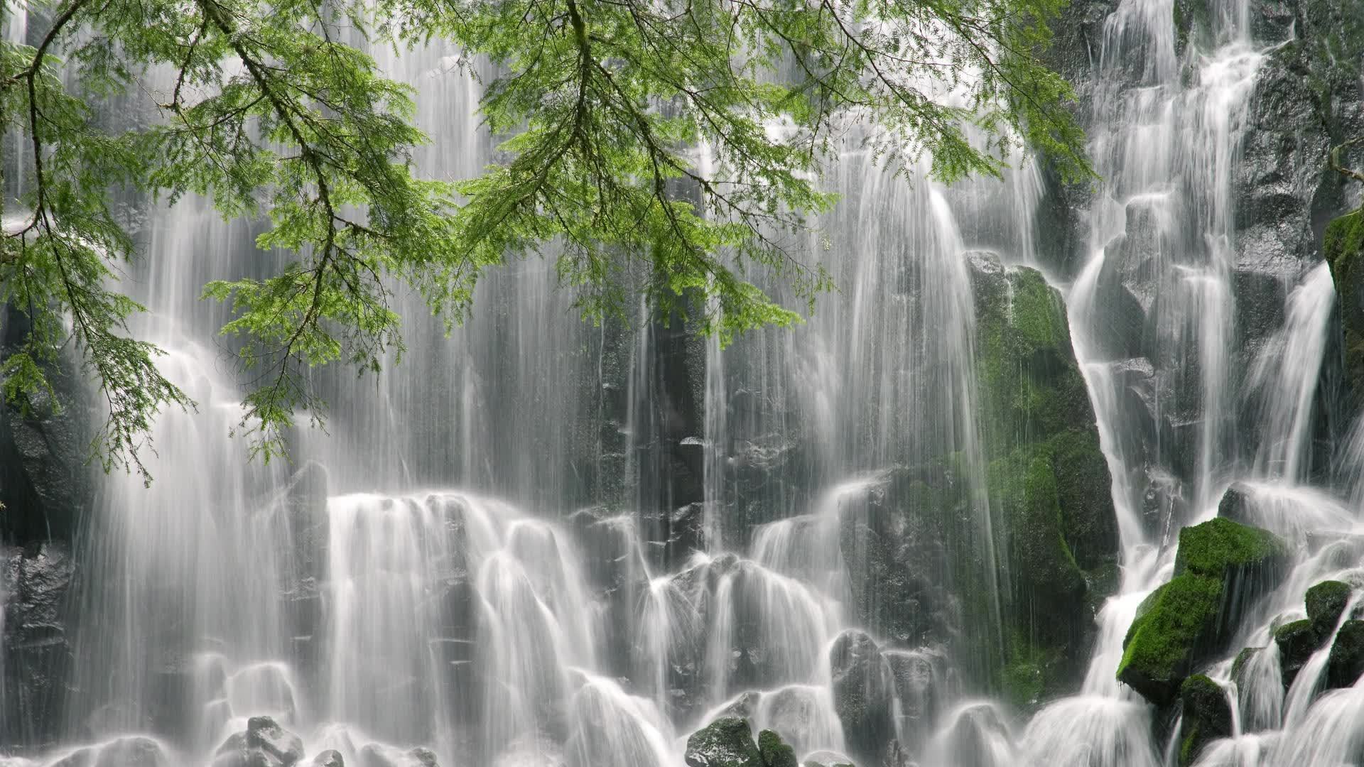 世界短道速滑青年赛教练员论坛召开,世界短道速滑冠军是谁